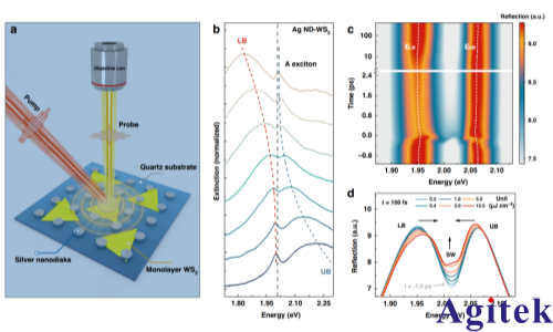 双通道锁相放大器OE1022D应用在“非线性”等离激元激子极