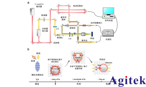 双通道锁相放大器OE1022D应用在“非线性”等离激元激子极化激元研究(图2)