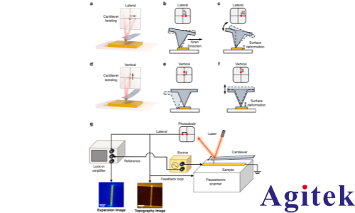 锁相放大器在光电二极管同频横向偏转特征信号检测中的应用
